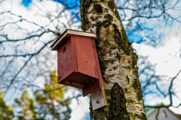 birdhouse on tree