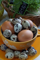 Quail eggs and  chicken eggs  - Easter composition.Easter Tradition - Selective focus