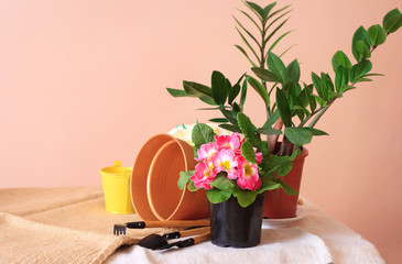 Potted flowers, pots for flowers and tools for the care of plants on the table.
