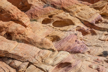 A full frame photograph of textured rock, in Valley of Fire, Nevada