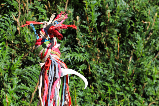 ave del paraiso ex&oacute;tica reciclada 4M0A8297-sa19