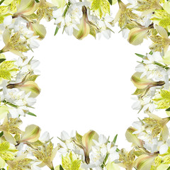 Beautiful floral background of Jasmine and yellow Alstroemeria. Isolated