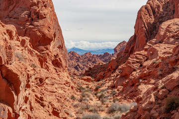 A view of red rocks in Valley of Fire, Nevada