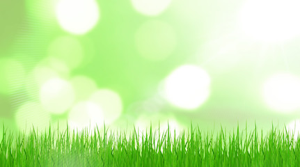 Fototapeta na wymiar Spring Grass Background