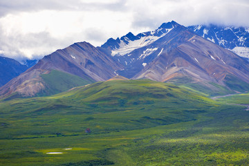With its huge mountains and surrounded by a wonderful biodiversity lies the Denali National Park and Preserve. River, trees and cloud sky. Landscape, fine art. Parks Hwy, Alaska, EUA: July 28, 2018