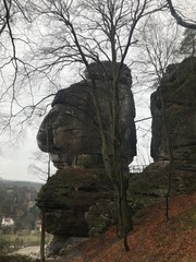 Elbsandsteingebirge/Bastei in Rathen (Sächsische Schweiz; Sachsen)