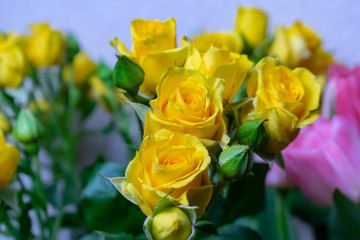 flowers yellow roses background texture holiday March 8