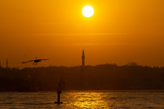 istanbul at sunset © senerdagasan