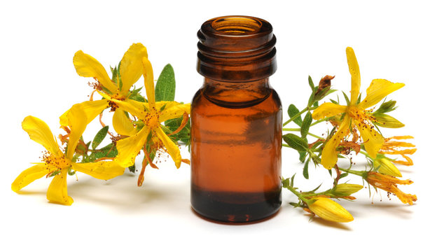 Hypericum perforatum Iperico Echtes Johanniskraut Erba di San Giovanni Šentjanževka Perforate St John's-wort