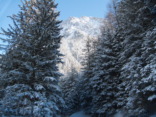 Wandern durch den Winterwald