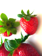 Red strawberries with green leaves isolated on white background.