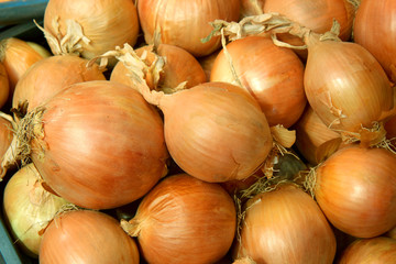 onions at the market