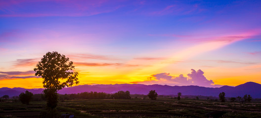 Beautiful vivid landscape sky after sunset with mountain and trees