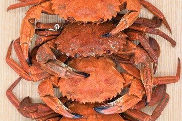 Cooked crabs (“Necora puber” or velvet swimmer) on a tray before chopping them to serve on the plates