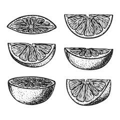 Set of fruit illustrations with Orange slices in engraving stile. Sweet and fresh fruit elements for menu, greeting cards, wrapping paper, cosmetics packaging, labels, tags, posters etc