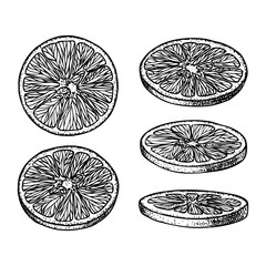 Set of fruit illustrations with Orange slices in engraving stile. Sweet and fresh fruit elements for menu, greeting cards, wrapping paper, cosmetics packaging, labels, tags, posters etc
