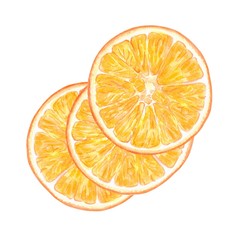 Fruit illustration with Oranges, watercolor painting. Sweet and fresh fruit element for menu, greeting cards, wrapping paper, cosmetics packaging, labels, tags, posters