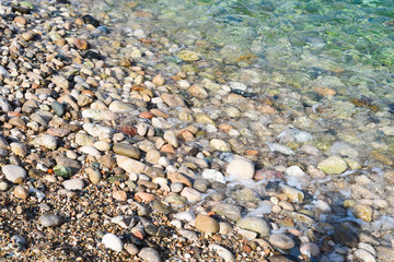 Summer, spring Background. Flowers. Nature Background. Yellow Flowers on green