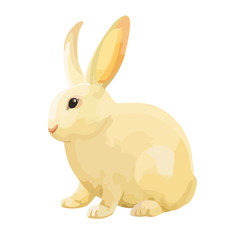 Fototapeta na wymiar Cute bunny isolated on white background. 