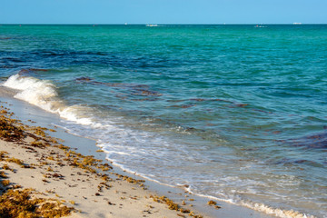 View of a sunny beach with turquoise wavy ocean and algae 