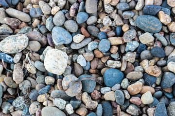 Colorful different size pebbles on the beach, Black sea
