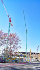 Cranes against the sky, Barcelona, Catalunya, Spain, Europe