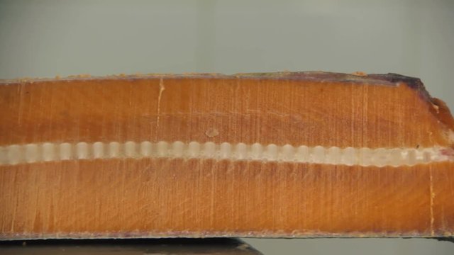 salmon cutting 3