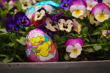 Chocolate Easter egg next to a plant