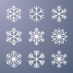 Set of snowflake on gray background