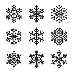 Set of snowflake on white background