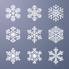 Fototapeta na wymiar Set of snowflake on gray background
