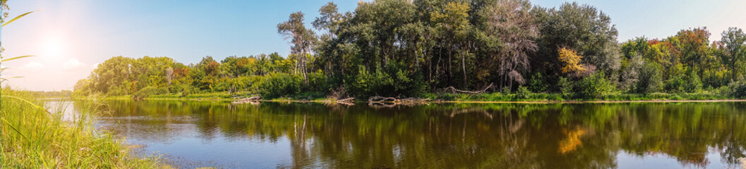 Panorama of forest river on a Sunny day
