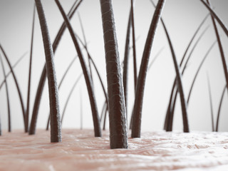 3d rendered illustration of healthy human hair