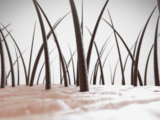3d rendered illustration of healthy human hair
