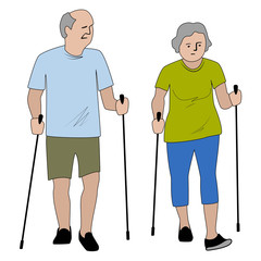 Senior couple do nordic walking in the park. Retirees with nordic sticks isolated vector illustration.