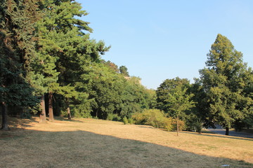The Park at summer day in Vysehrad Prague Czech Republic