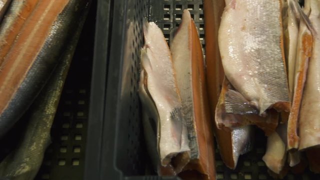 salmon cutting 7