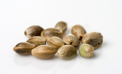 A handful of cannabis seeds. Selective focus. Isolated on white background.