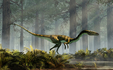 Coelophysis, one of the earliest dinosaurs, was a carnivorous theropod.  The creature stands in a forest of fir trees with a floor of ferns with rays of light shining down. 3D Rendering.  © Daniel Eskridge