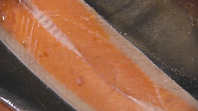salmon cutting 10