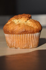 Cupcake without decoration.