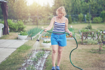 European woman is cultivating flowers in her garden; she is watering using the garden hose.