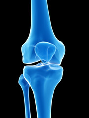 3d rendered medically accurate illustration of the knee joint