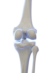 3d rendered medically accurate illustration of the knee joint