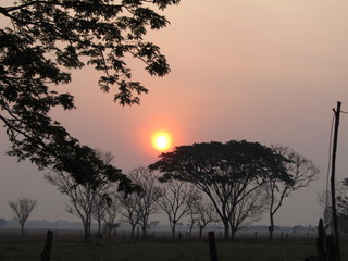 Fototapeta premium sol amanecer llanero