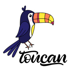 Toucan lettering vector illustration