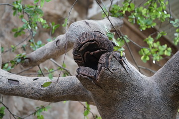 Las Palmas de Gran Canaria, Canary Islands, Spain - 21.12.2018 - Aquarium (Poema del Mar)