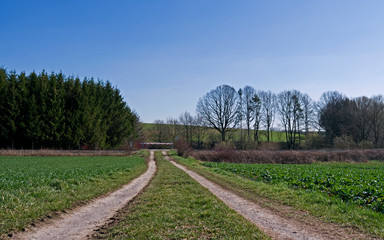 Fototapeta na wymiar Reichstaedt / Germany: Closed railroad crossing on a dirt road in the hilly rural landscape in Eastern Thuringia on a sunny day in March