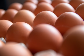 Raw fresh organic chicken eggs in carton egg box