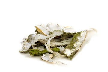 Detail of the trunk of the silver birch, warty birch, European white birch (Betula pendula). The...